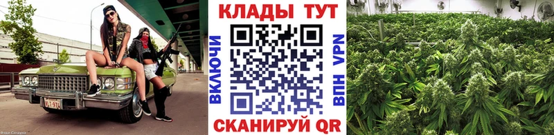 Где продают наркотики Нефтекумск hydra вход  COCAIN  Меф  Канабис  ГАШИШ 