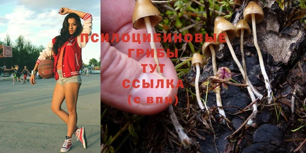 экстази Карпинск