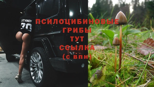 альфа пвп Касимов