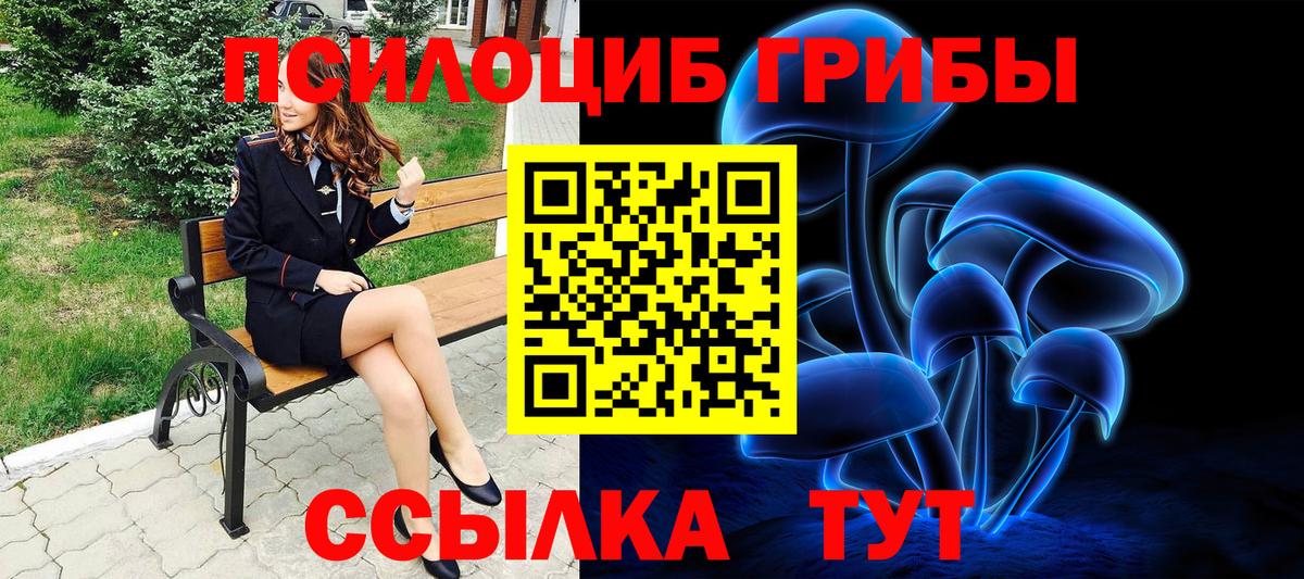 Псилоцибиновые грибы Magic Shrooms  Псилоцибиновые грибы Psilocybine cubensis  Нефтекумск  Вход с VPN 